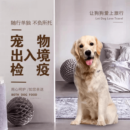 东莞宠物托运到哥伦比亚猫狗宠物入境规定和