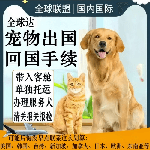 东莞宠物托运到柬埔寨宠物入境规定和要求