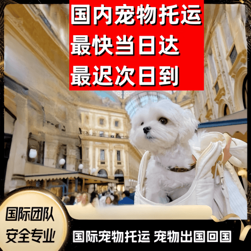 东莞到澳大利亚（澳洲）宠物入境规定和要求